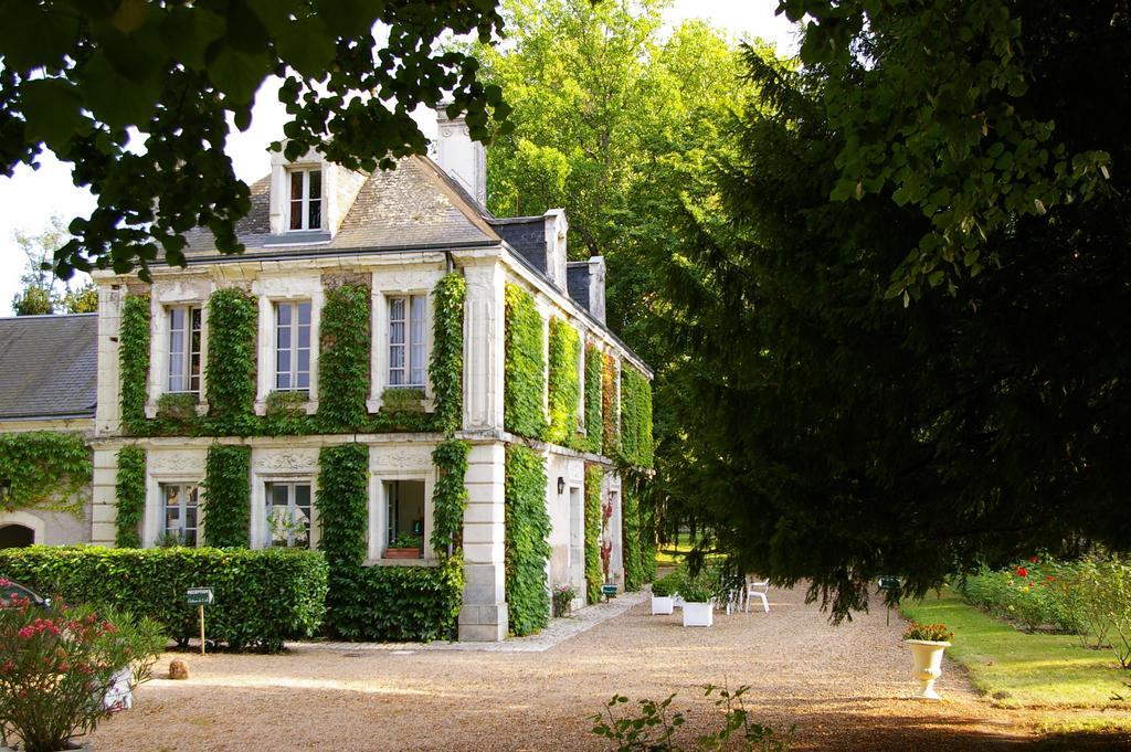 Hostellerie Du Chateau De L'Isle La Croix-en-Touraine Номер фото